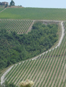 大自然に囲まれたリゾート・アグリイメージ