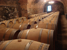 大自然に囲まれたリゾート・アグリイメージ