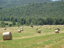 大自然に囲まれたリゾート・アグリイメージ