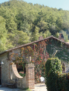 大自然に囲まれたリゾート・アグリイメージ