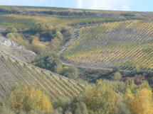 大自然に囲まれたリゾート・アグリイメージ