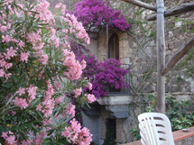 カプリ島が見えるレモン畑のアグリツーリズモイメージ