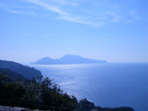 カプリ島が見えるレモン畑のアグリツーリズモイメージ