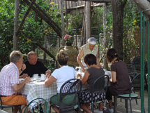 カプリ島が見えるレモン畑のアグリツーリズモイメージ
