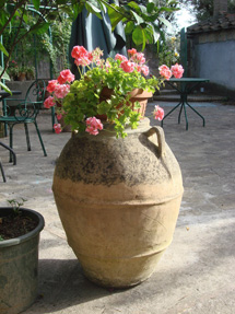 カプリ島が見えるレモン畑のアグリツーリズモイメージ