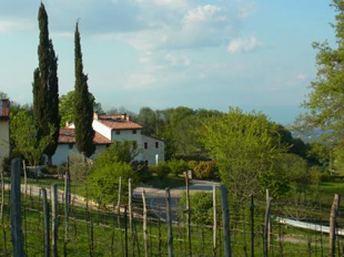 カプリ島が見えるレモン畑のアグリツーリズモイメージ