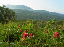 イタリアの素朴なファミリー経営のアグリツーリズモステイプランイメージ