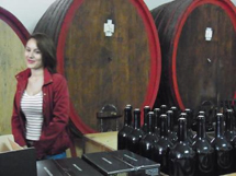 イタリアの素朴なファミリー経営のアグリツーリズモステイプランイメージ