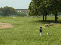 世界遺産・古代ギリシァ神殿=パエストゥムイメージ
