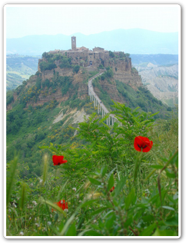 田舎体験・アグリツーリズモイメージ