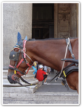 日本語定期観光バスイメージ