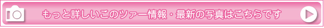 もっと詳しいこのツァー情報・最新の写真はこちらです