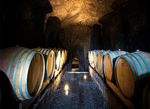 ローマ発：天空の町＆オルヴィエートワイナリー見学