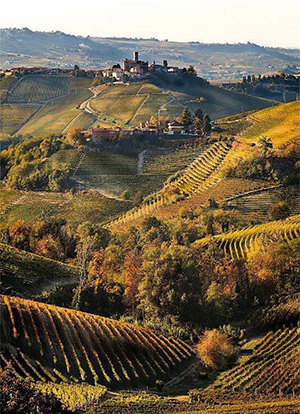 ピエモンテ2泊3日料理レッスンとイタリアを代表するバローロワイナリー見学プラン