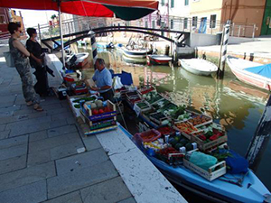 ヴェネツィア発：ブラーノ島巡りとイカスミランチ