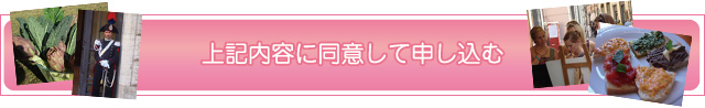 上記内容に同意して申し込む