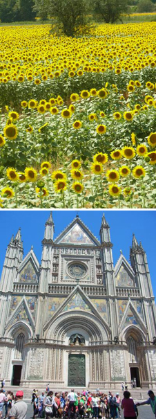 大自然に囲まれたアグリで満足コースランチプランイメージ