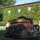 ローマ発日帰りドライブイメージ