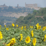 ローマ発日帰りドライブイメージ