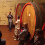 ローマ発日帰りドライブイメージ