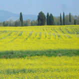 ローマ発日帰りドライブイメージ
