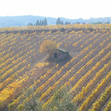 ローマ発日帰りドライブイメージ