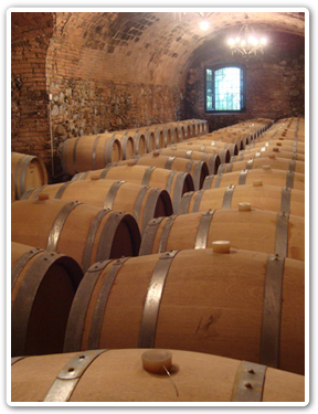 世界遺産＆ワイナリードライブ日帰りプラン