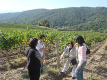 2大世界遺産・オルチャ渓谷+ピエンツァ&モンタルチィーノイメージ