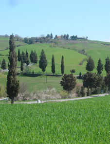 2大世界遺産・オルチャ渓谷＋ピエンツァ＆モンタルチィーノイメージ