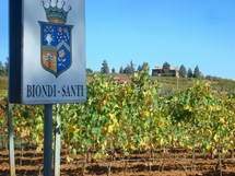 ビオンディサンティ