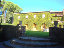 ビオンディサンティ