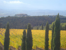 ポッジョ・アンティコ