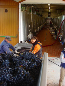 ポッジョ・アンティコ