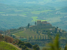 「神の雫」に選ばれたポッジョディソット
