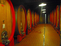 「神の雫」に選ばれたポッジョディソット