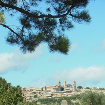 100点満点最高峰のブルネッロワイナリー・ヴァルディカバ