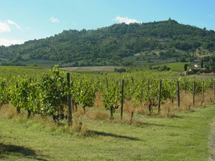 100点満点最高峰のブルネッロワイナリー・ヴァルディカバ