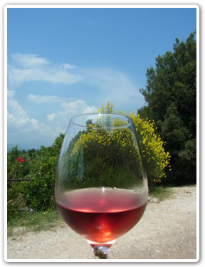 オルヴィエート＋アンティノーリワイナリー＆アグリでランチイメージ