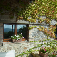 オルヴィエート＋アンティノーリワイナリー＆アグリでランチ<