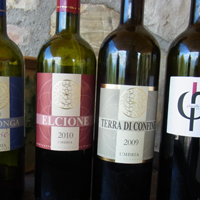 オルヴィエート＋アンティノーリワイナリー＆アグリでランチ<