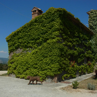 オルヴィエート＋アンティノーリワイナリー＆アグリでランチ<イメージ