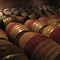 オルヴィエート＋アンティノーリワイナリー＆アグリでランチ<イメージ