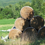 オルヴィエート＋アンティノーリワイナリー＆アグリでランチ<イメージ