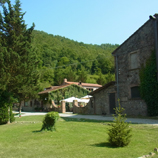 オルヴィエート＋アンティノーリワイナリー＆アグリでランチ<イメージ