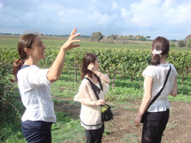 アッピア旧街道とエノテカでビュッフェランチイメージ