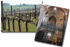 ウンブリアのワイナリーでマリアージュ・コースランチ