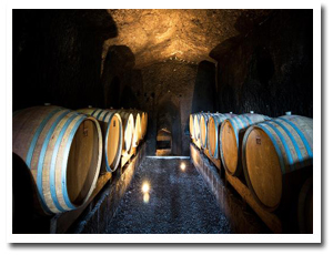 ウンブリアのワイナリーでマリアージュ・コースランチ